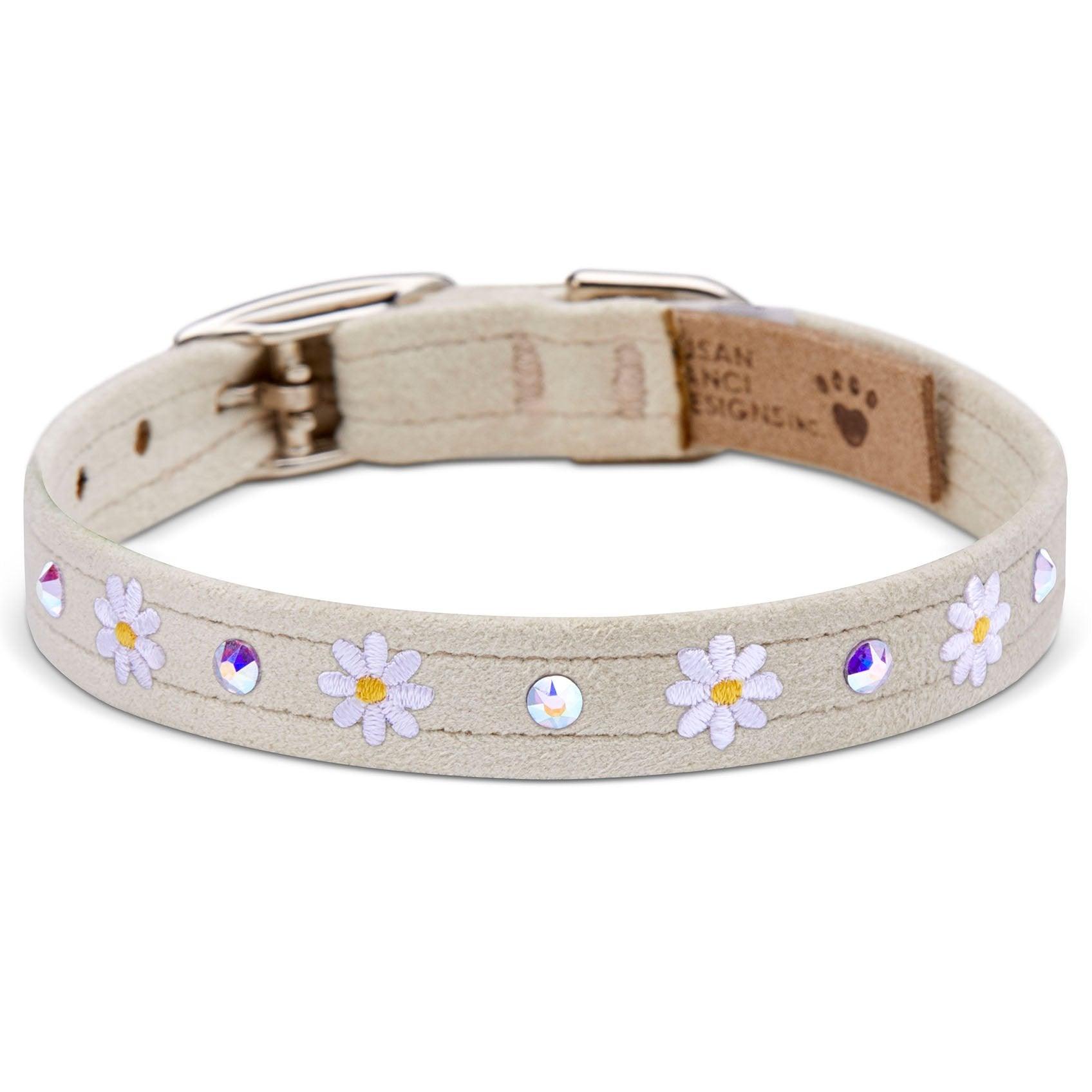 1/2" Small Daisies Collars - Rocky & Maggie's Pet Boutique and Salon