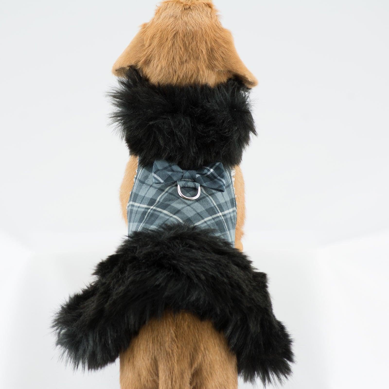 Scotty Black Fox Fur Coat - Rocky & Maggie's Pet Boutique and Salon