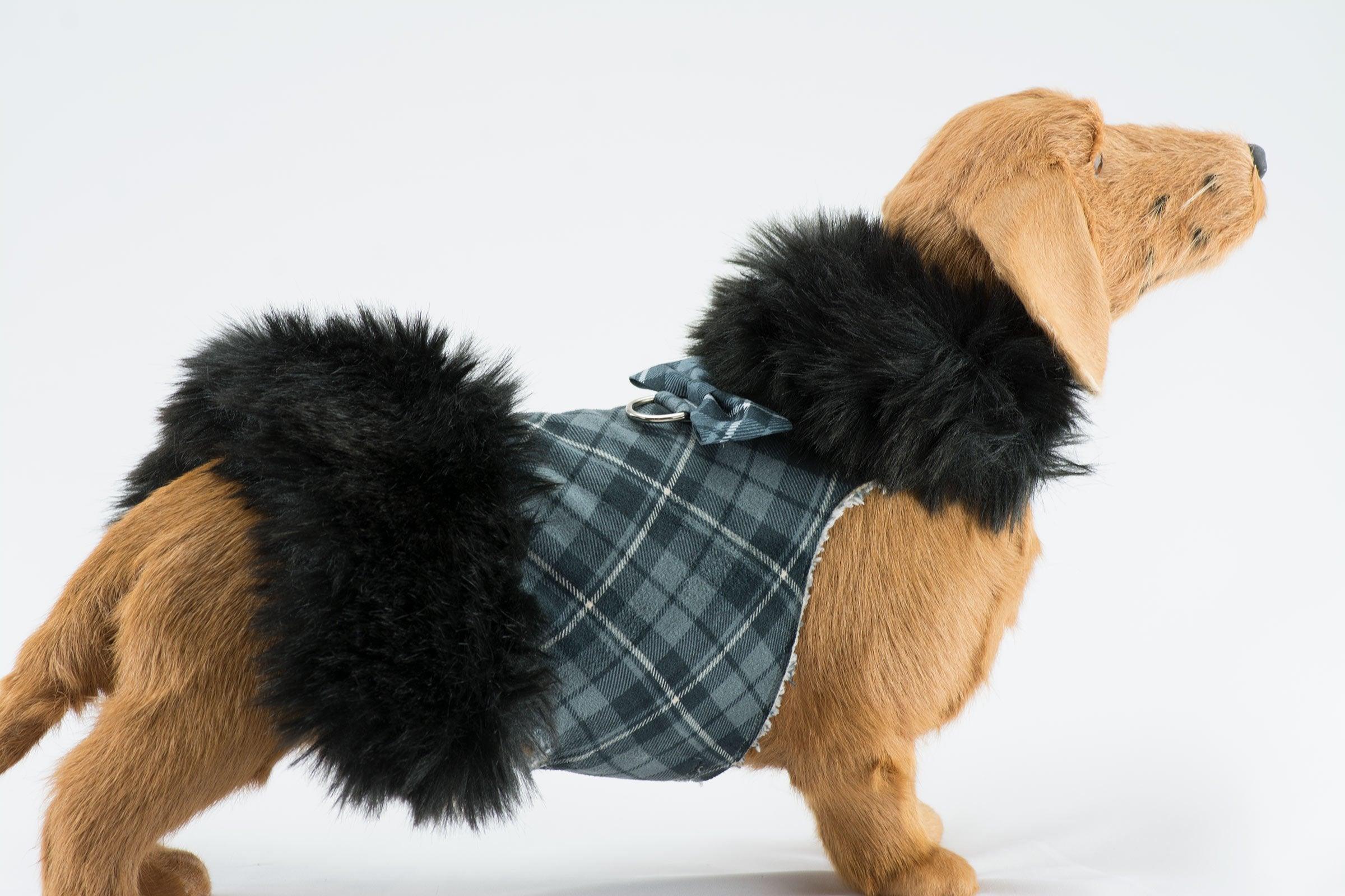 Scotty Black Fox Fur Coat - Rocky & Maggie's Pet Boutique and Salon