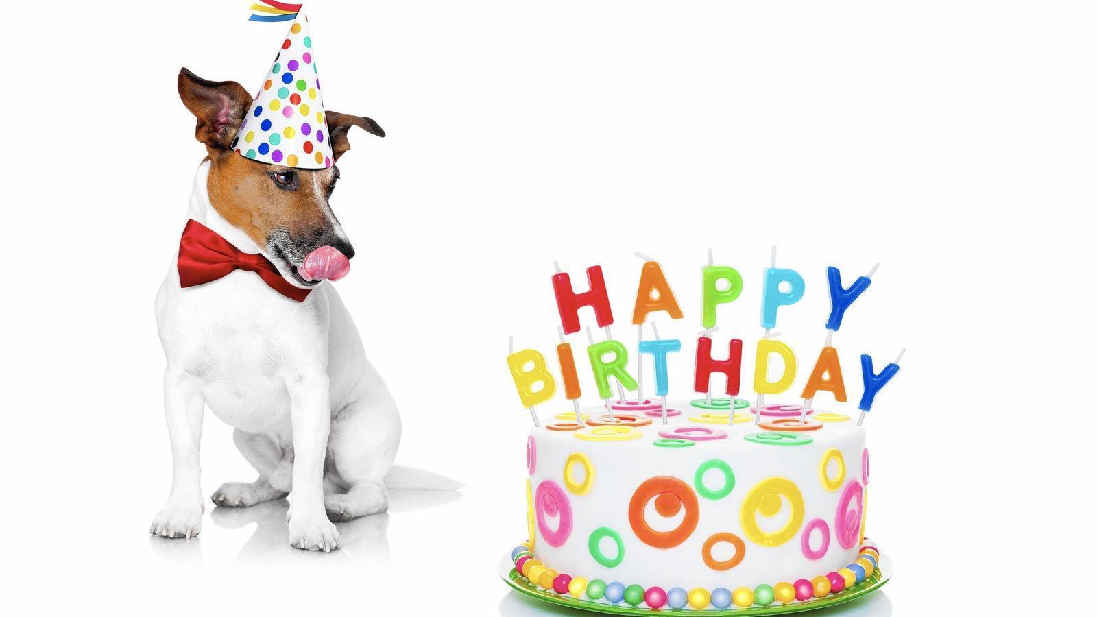 Rocky & Maggie's eGift Card - Rocky & Maggie's Pet Boutique and Salon