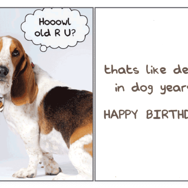 Hoowl Old R U Birthday Card - Rocky & Maggie's Pet Boutique and Salon