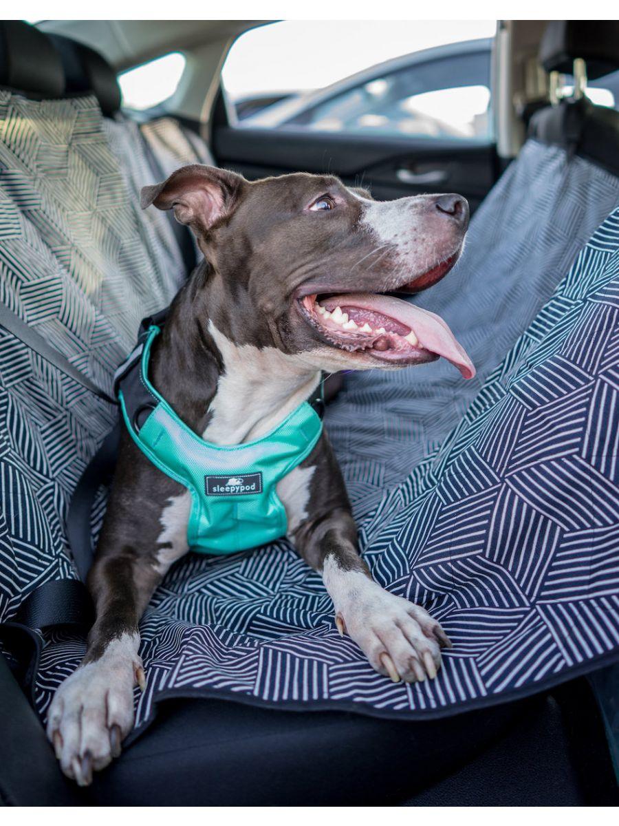 Clickit Terrain Harness (Includes harness, S-clip and Buckle Shield) - Rocky & Maggie's Pet Boutique and Salon