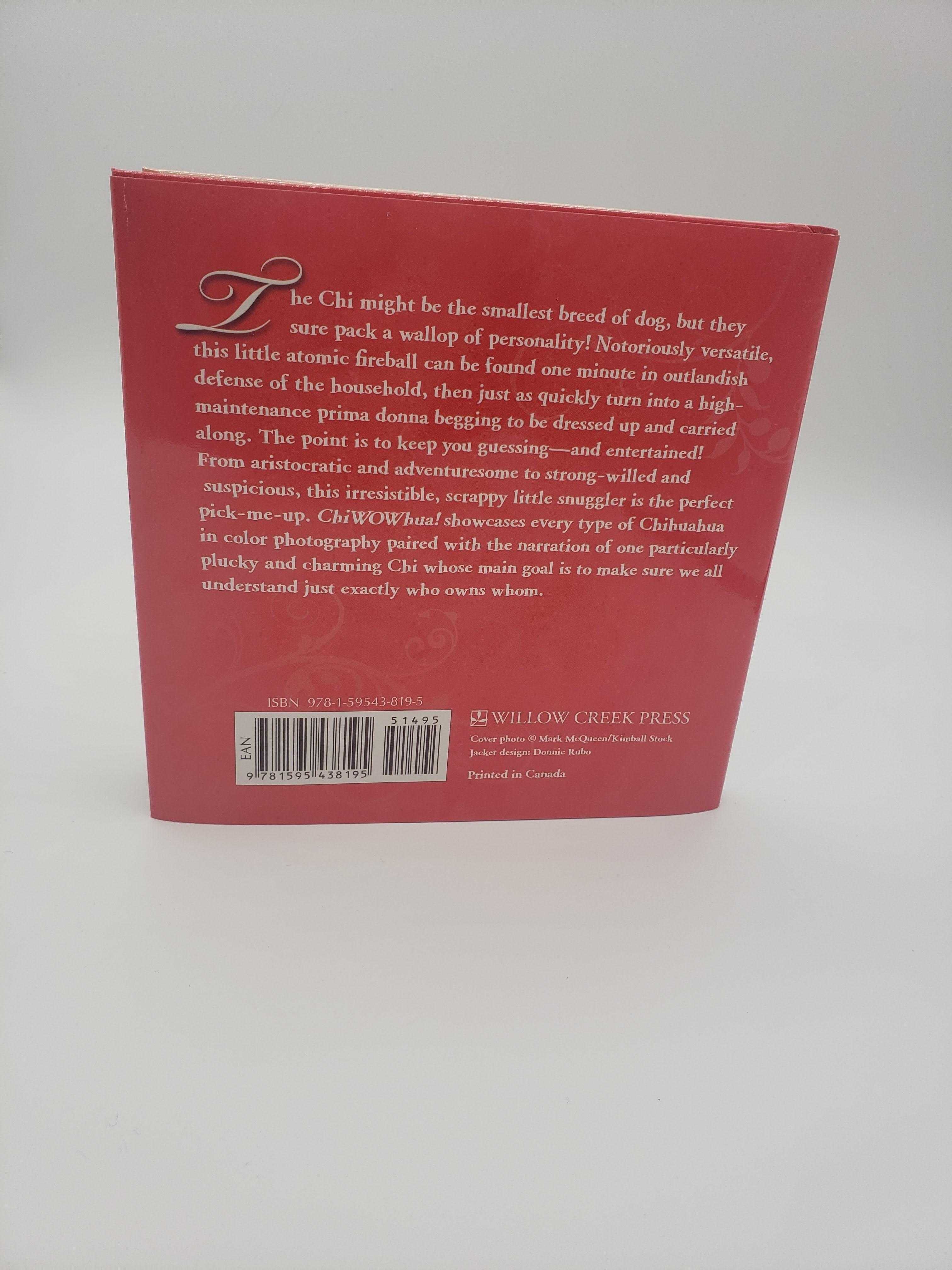 What Dogs Teach Us... Life's Lessons Learned from Our Best Friends - Rocky & Maggie's Pet Boutique and Salon