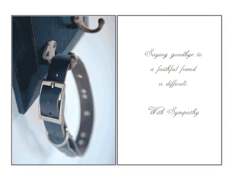 Saying Goodbye Sympathy Card - Rocky & Maggie's Pet Boutique and Salon