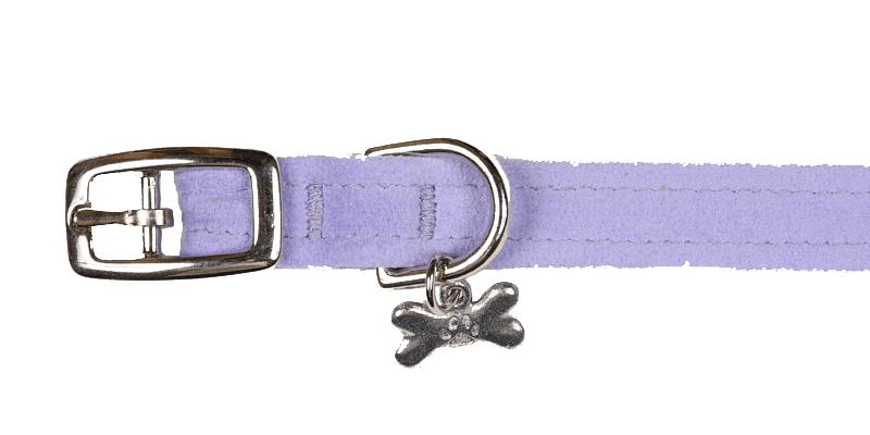 French Lavender Collar - Rocky & Maggie's Pet Boutique and Salon