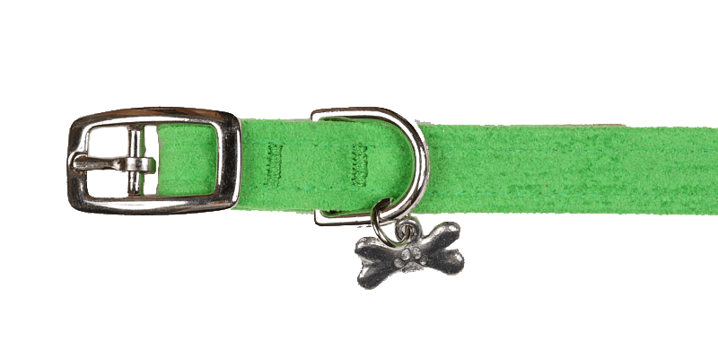 Green Collar - Rocky & Maggie's Pet Boutique and Salon