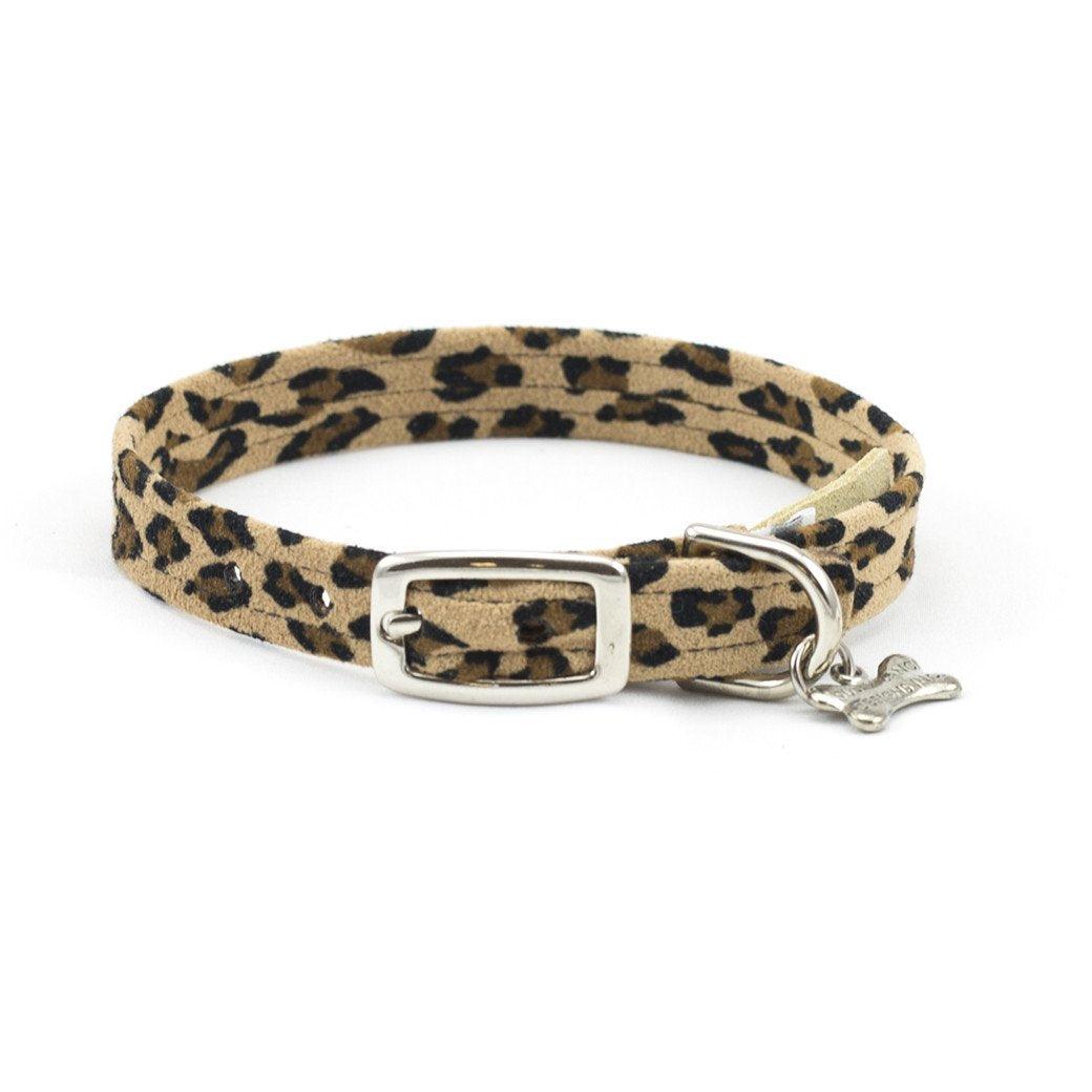 Cheetah Couture Collar - Rocky & Maggie's Pet Boutique and Salon