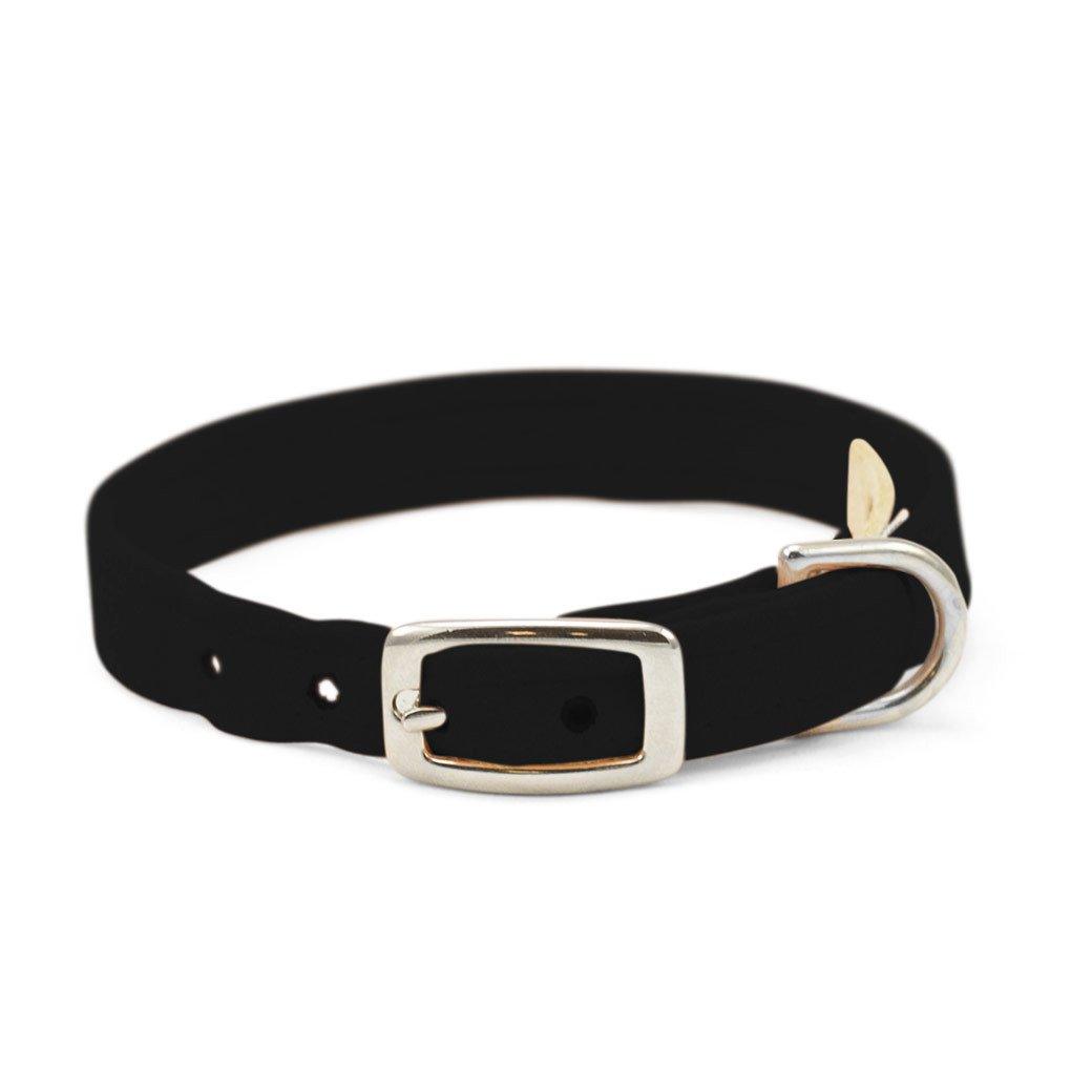 Cupcake Collar - Rocky & Maggie's Pet Boutique and Salon