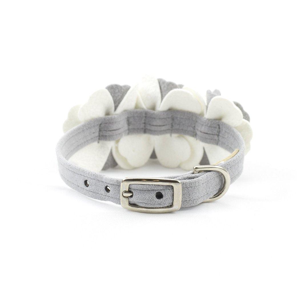 Special Occasion Collar - Rocky & Maggie's Pet Boutique and Salon