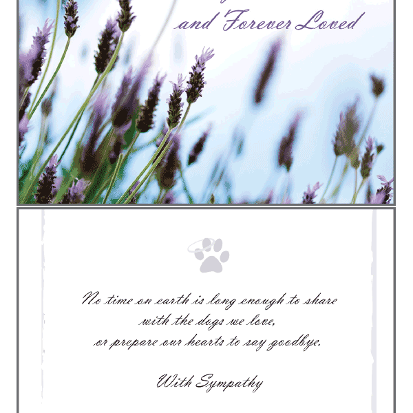 Always Remembered Sympathy Card - Rocky & Maggie's Pet Boutique and Salon