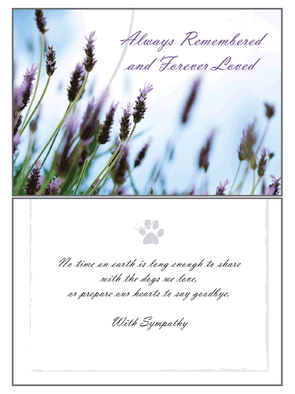 Always Remembered Sympathy Card - Rocky & Maggie's Pet Boutique and Salon