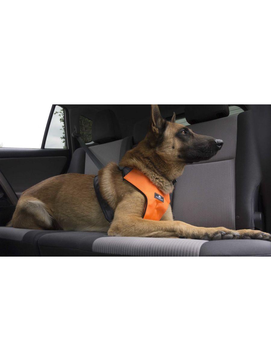 Clickit Sport Harness (Includes harness, S-clip and Buckle Shield) - Rocky & Maggie's Pet Boutique and Salon