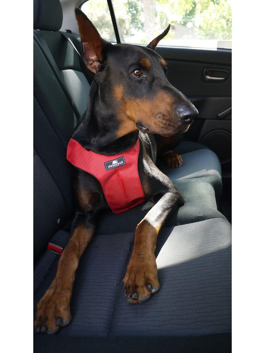 Clickit Sport Harness (Includes harness, S-clip and Buckle Shield) - Rocky & Maggie's Pet Boutique and Salon