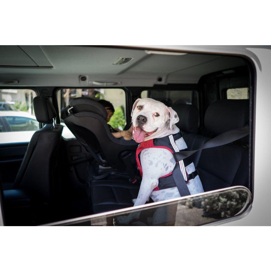 Clickit Terrain Harness (Includes harness, S-clip and Buckle Shield) - Rocky & Maggie's Pet Boutique and Salon