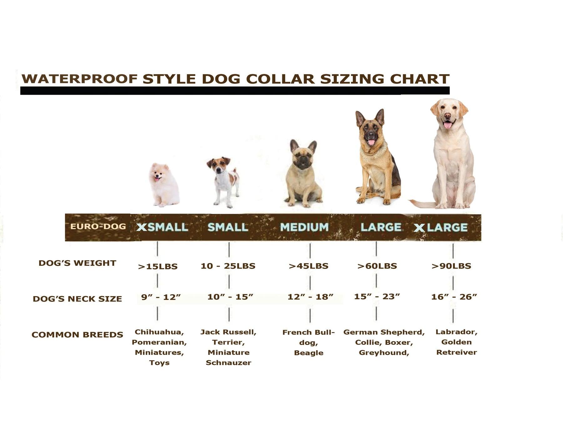 Euro Dog Waterproof Dog Collar/Lead - Rocky & Maggie's Pet Boutique and Salon