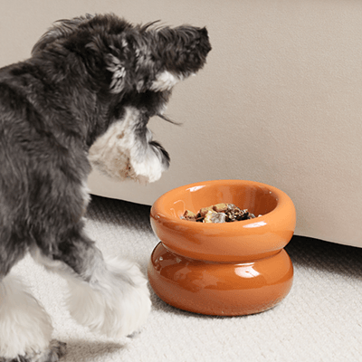 Soufflé Pet Bowl - Amber Orange - Rocky & Maggie's Pet Boutique and Salon