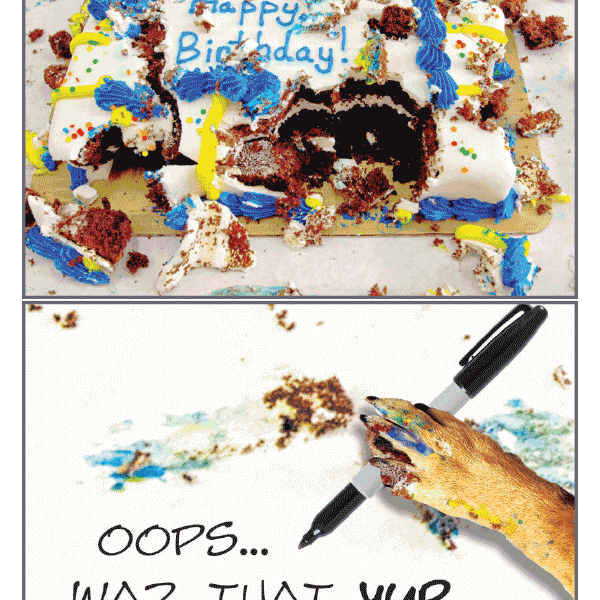 Messy Cake Birthday Card - Rocky & Maggie's Pet Boutique and Salon