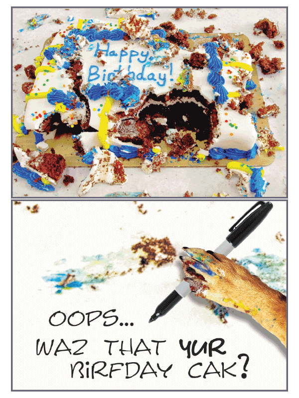 Messy Cake Birthday Card - Rocky & Maggie's Pet Boutique and Salon