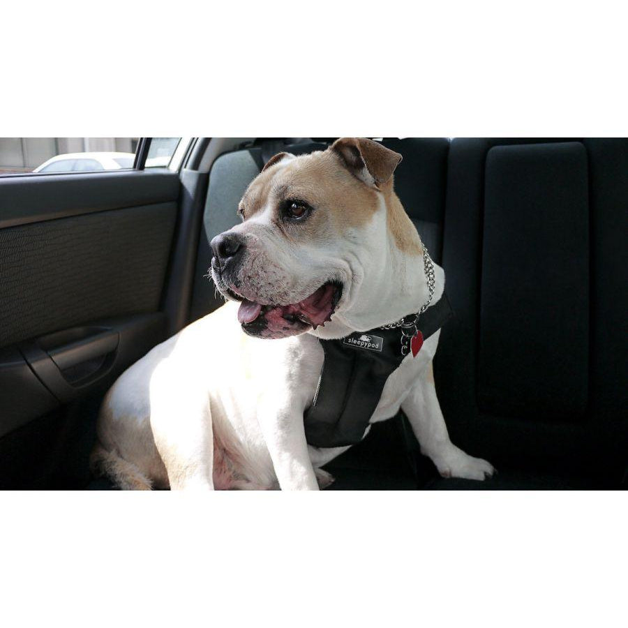 Clickit Sport Harness (Includes harness, S-clip and Buckle Shield) - Rocky & Maggie's Pet Boutique and Salon