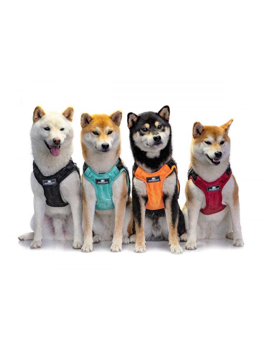 Clickit Terrain Harness (Includes harness, S-clip and Buckle Shield) - Rocky & Maggie's Pet Boutique and Salon