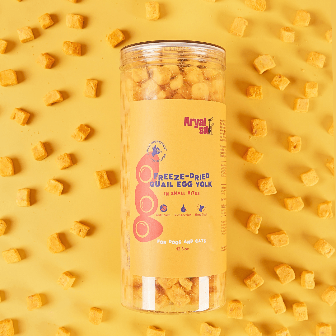 Freeze-Dried Egg Yolk Bites - Rocky & Maggie's Pet Boutique and Salon