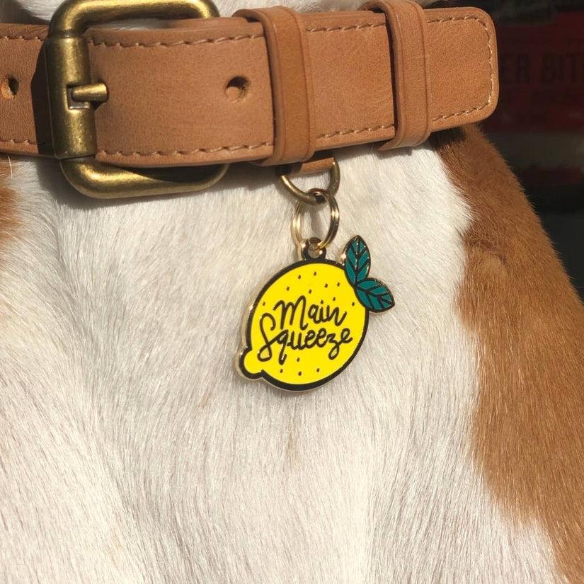 Main Squeeze Pet ID Tag - Rocky & Maggie's Pet Boutique and Salon
