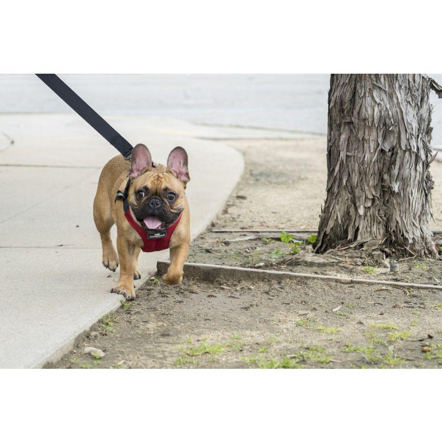Clickit Sport Harness (Includes harness, S-clip and Buckle Shield) - Rocky & Maggie's Pet Boutique and Salon