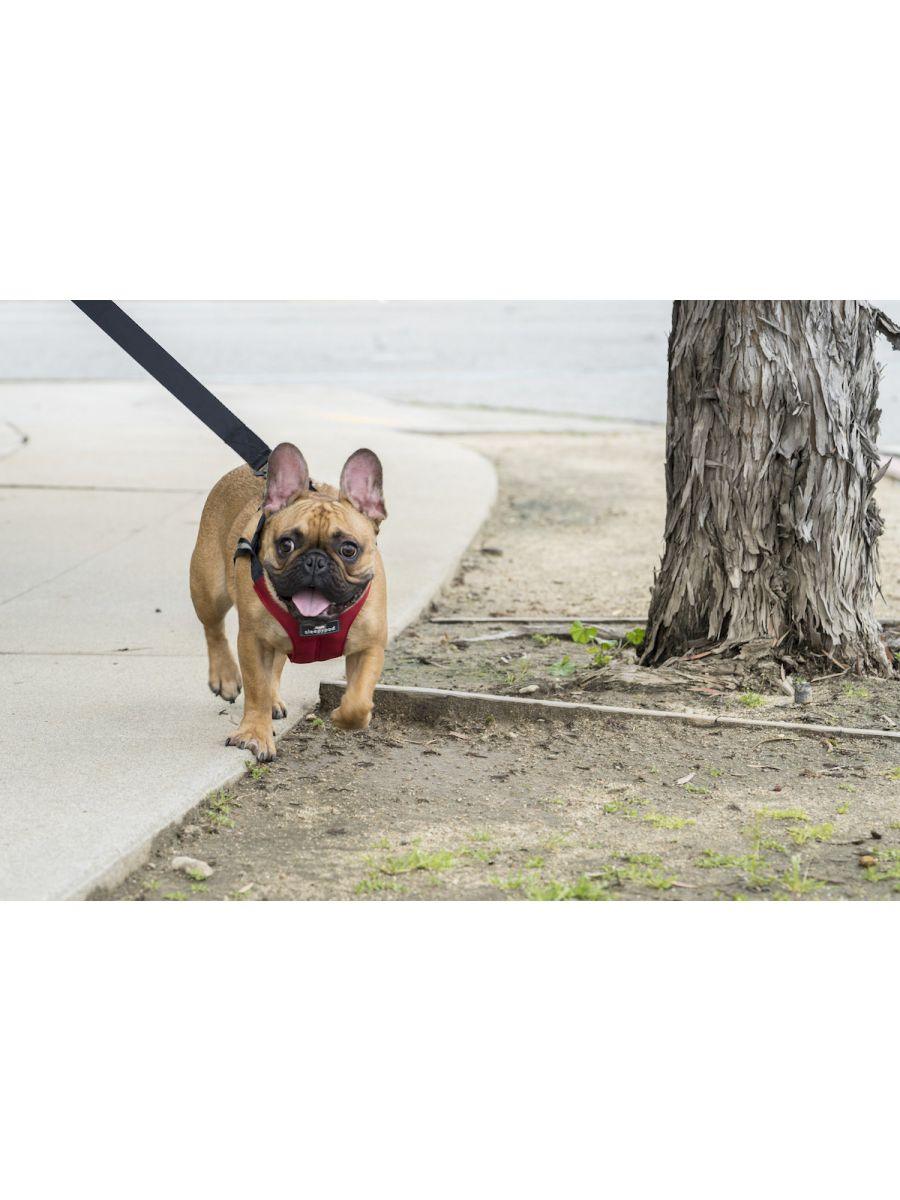 Clickit Sport Harness (Includes harness, S-clip and Buckle Shield) - Rocky & Maggie's Pet Boutique and Salon