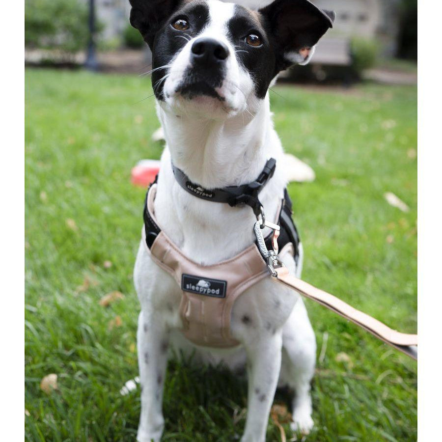 Clickit Terrain Harness (Includes harness, S-clip and Buckle Shield) - Rocky & Maggie's Pet Boutique and Salon