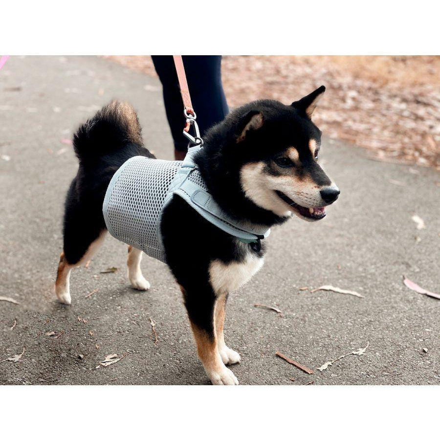 Martingale Dog Harness - Rocky & Maggie's Pet Boutique and Salon