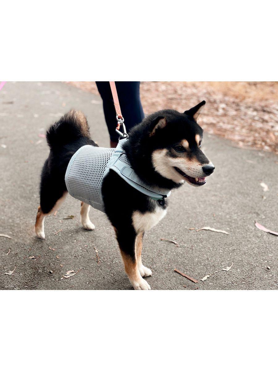 Martingale Dog Harness - Rocky & Maggie's Pet Boutique and Salon