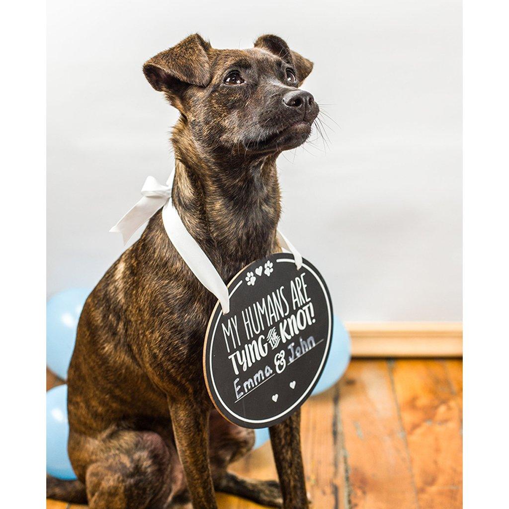 Wedding Announcement Chalkboard - Rocky & Maggie's Pet Boutique and Salon