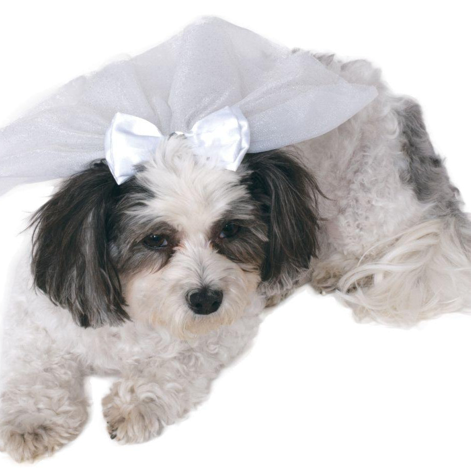 Wedding Veil - Rocky & Maggie's Pet Boutique and Salon