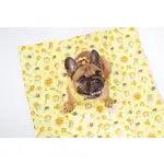 On-The-Go Pet Mat - Rocky & Maggie's Pet Boutique and Salon