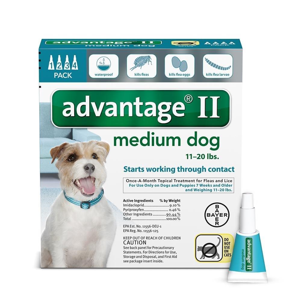 K9 Advantage II - Rocky & Maggie's Pet Boutique and Salon