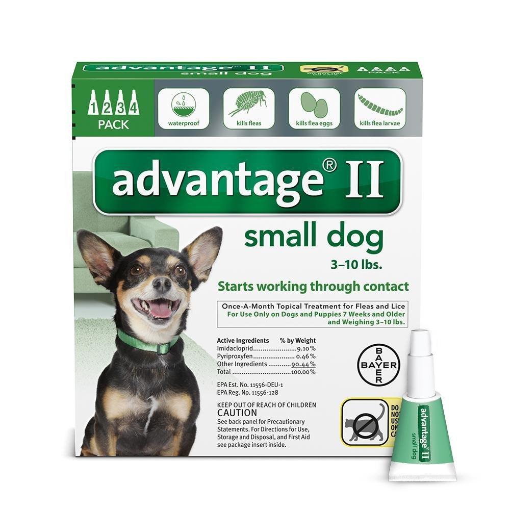 K9 Advantage II - Rocky & Maggie's Pet Boutique and Salon