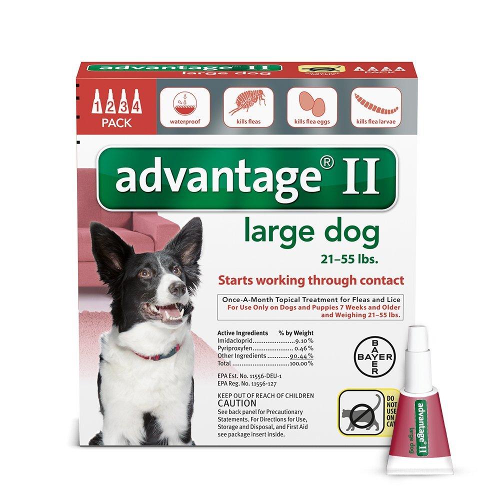 K9 Advantage II - Rocky & Maggie's Pet Boutique and Salon