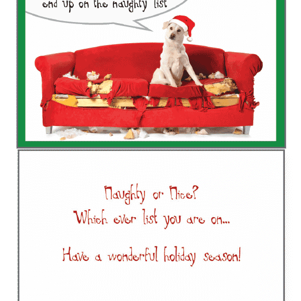 Naughty Or Nice Holiday Greeting Card - Rocky & Maggie's Pet Boutique and Salon