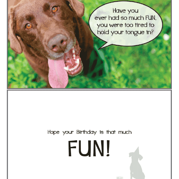 So Much Fun Birthday Card - Rocky & Maggie's Pet Boutique and Salon