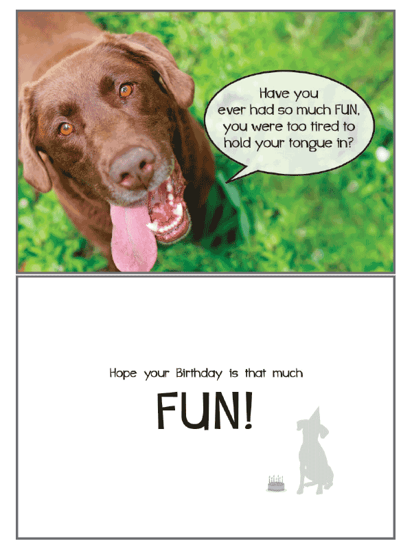 So Much Fun Birthday Card - Rocky & Maggie's Pet Boutique and Salon