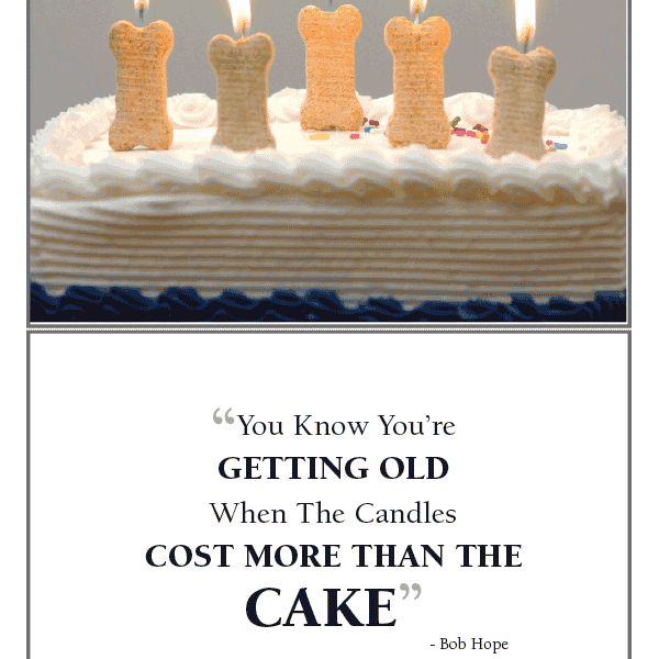 You Know Your Old Birthday Card - Rocky & Maggie's Pet Boutique and Salon