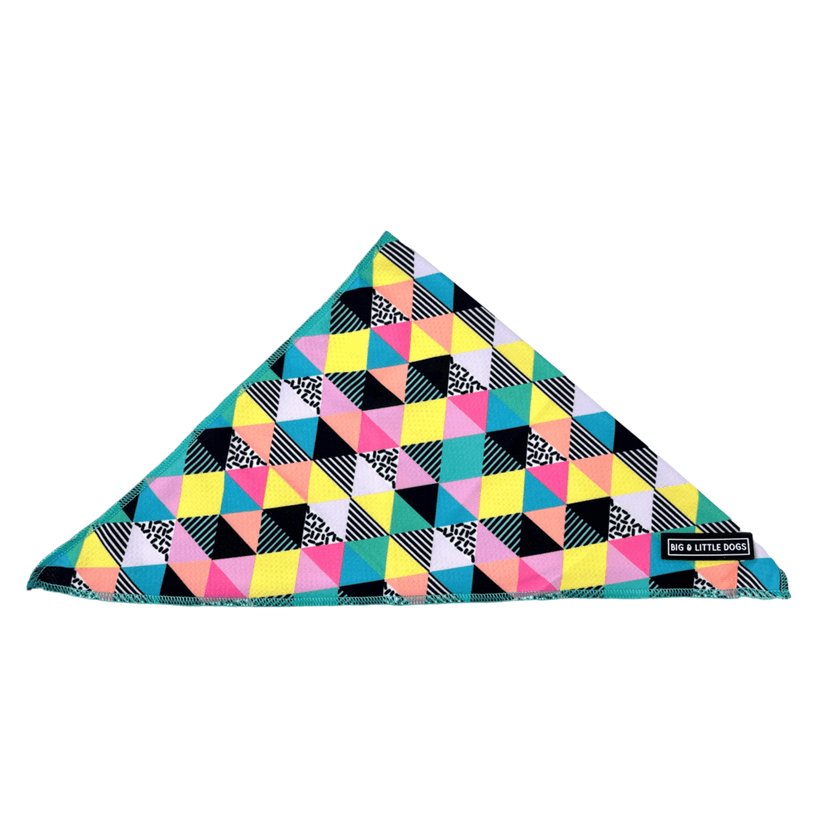 All-Sorts Bandana - Rocky & Maggie's Pet Boutique and Salon