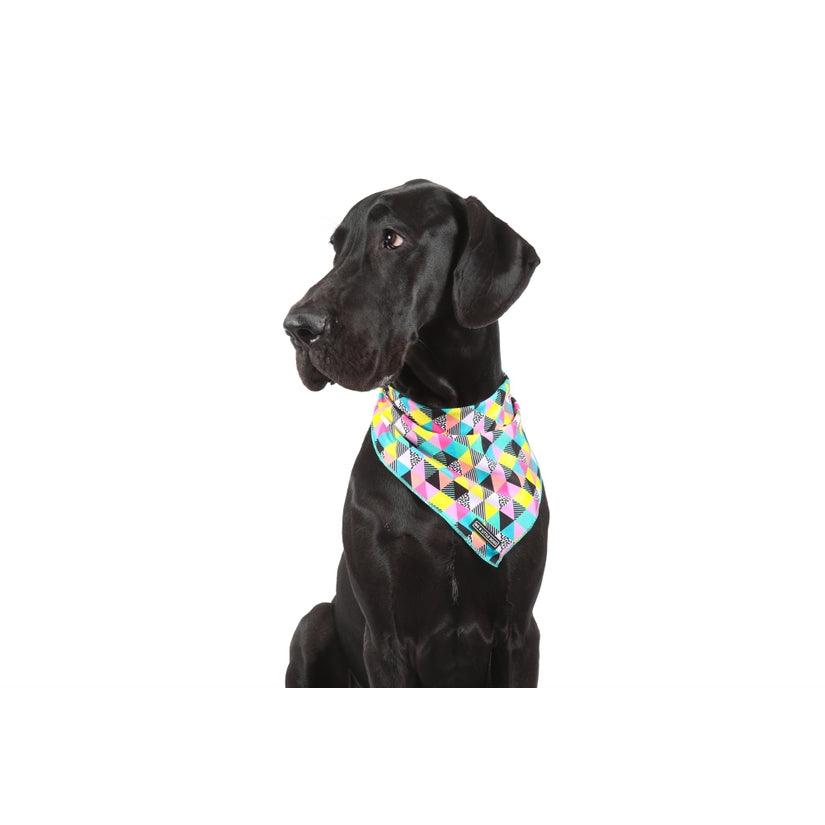 All-Sorts Bandana - Rocky & Maggie's Pet Boutique and Salon