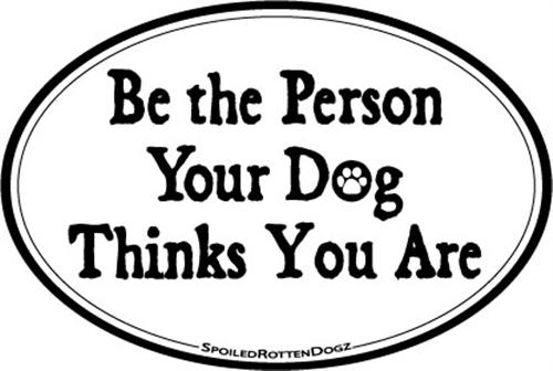 Car Magnets - Rocky & Maggie's Pet Boutique and Salon