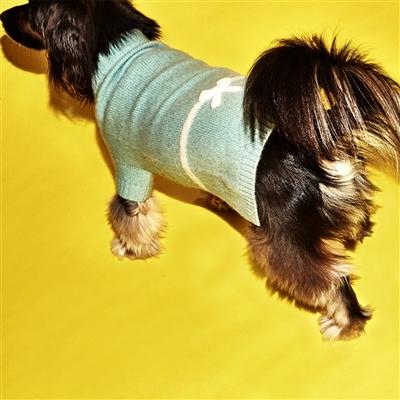 Bow Sweater - Rocky & Maggie's Pet Boutique and Salon