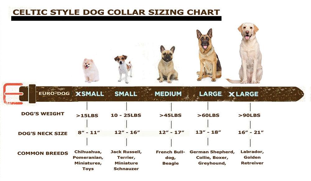 Celtic Style Buckle Leather Collar - Rocky & Maggie's Pet Boutique and Salon