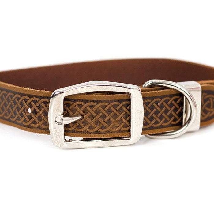 Celtic Style Buckle Leather Collar - Rocky & Maggie's Pet Boutique and Salon