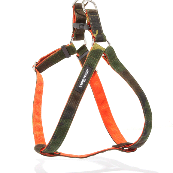 Cordura Metro Collar & Leash - Rocky & Maggie's Pet Boutique and Salon
