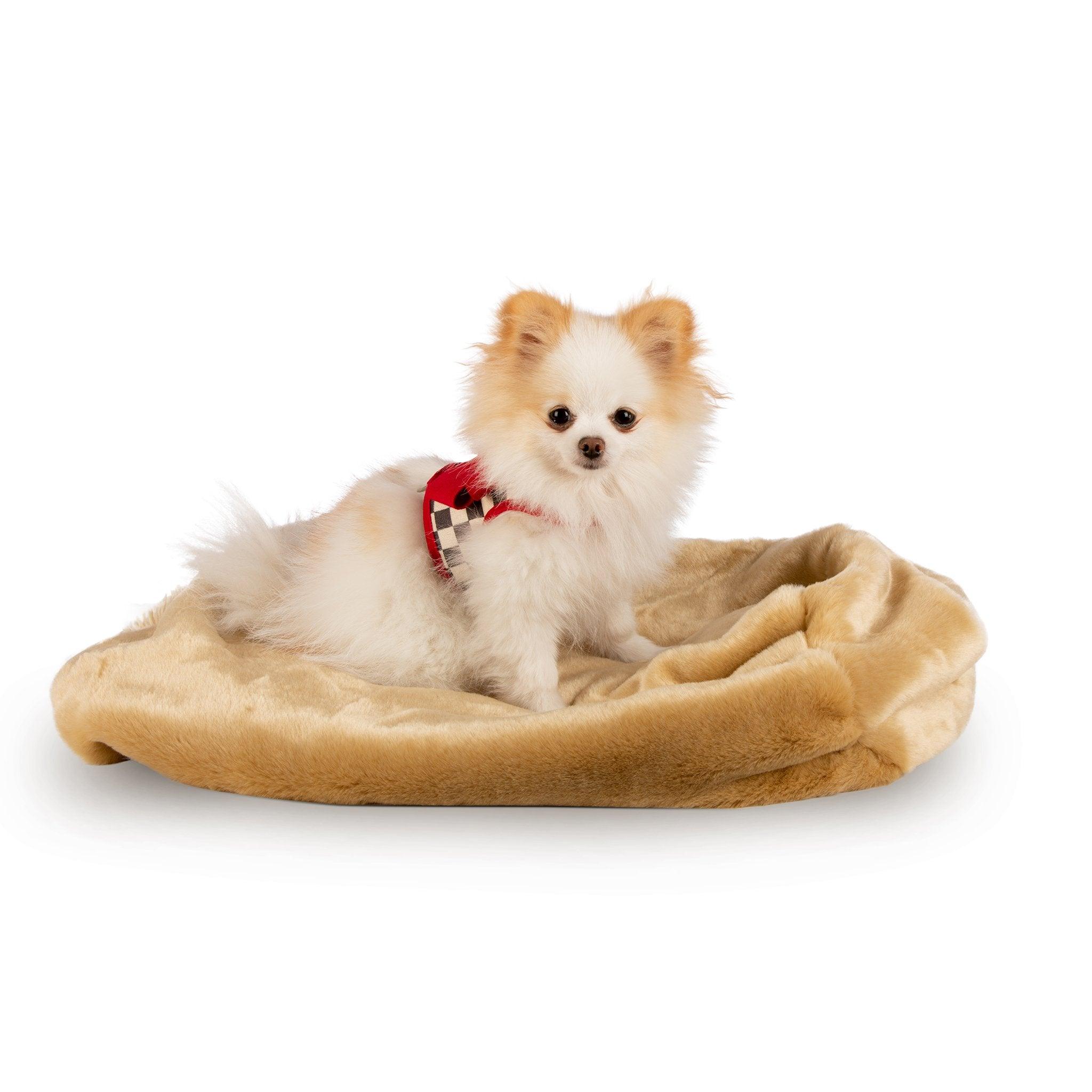 Camel Smooth Cuddle Cup - Rocky & Maggie's Pet Boutique and Salon