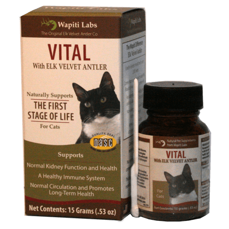 Vital Pet Supplements for Cats, 15g powder - Rocky & Maggie's Pet Boutique and Salon